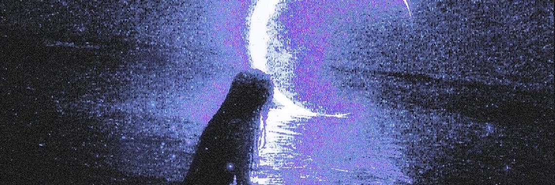 voiidsoull's profile banner image