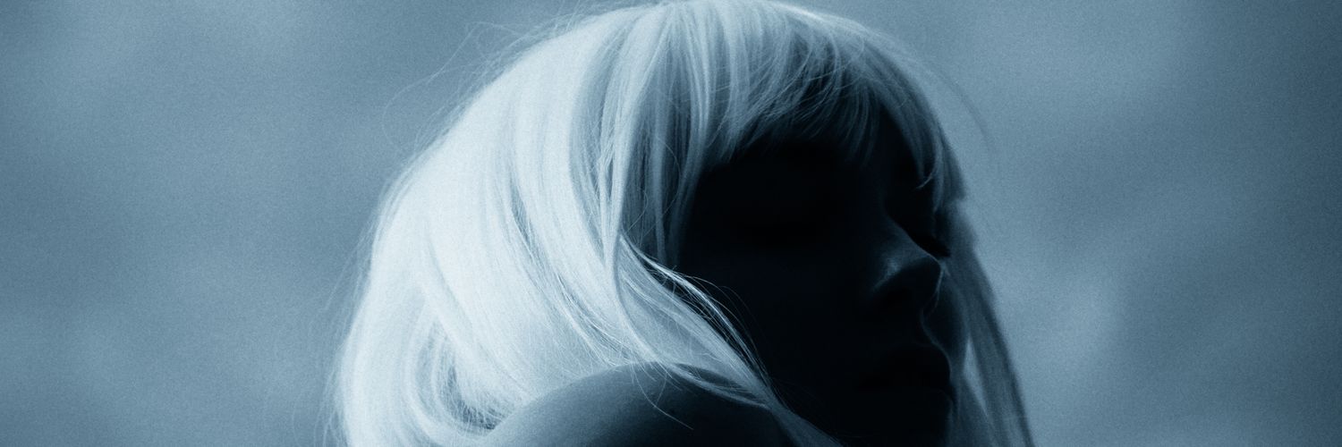 Stephano Sanchinelli banner