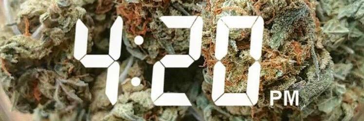 happa_doog's profile banner image