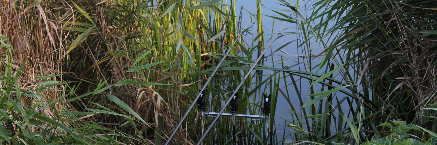 david_selley's profile banner image