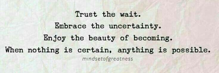 Traci Stubenrauch banner