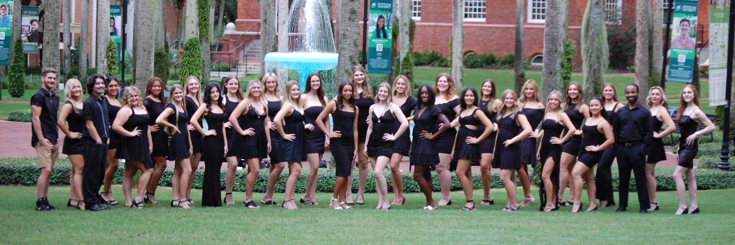 Stetson University Cheerleading banner