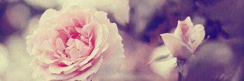 xiLoveYoox3's profile banner image