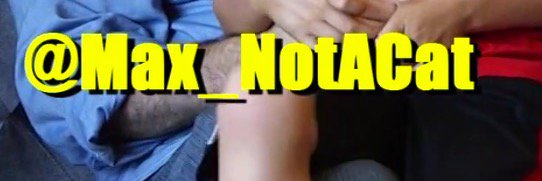 Max_NotACat's profile banner image