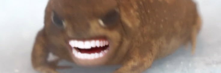 AngyBangster's profile banner image