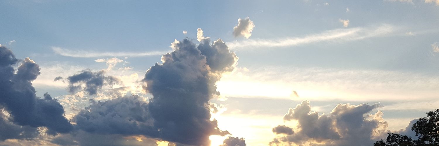 megansirras's profile banner image