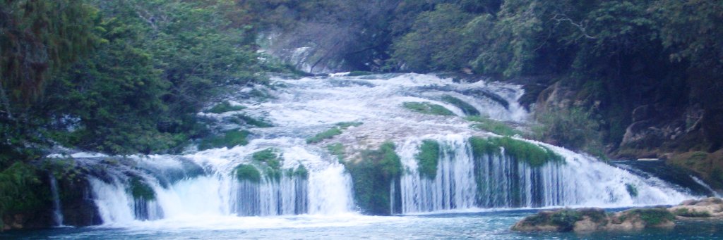 Walter Ubal Giordano banner