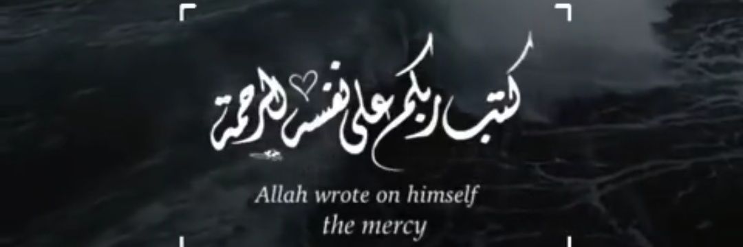 Nou ֶָ֢⊹˚ banner