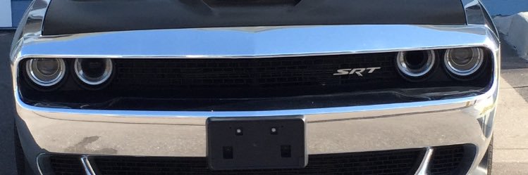 E.Michael Cunningham banner