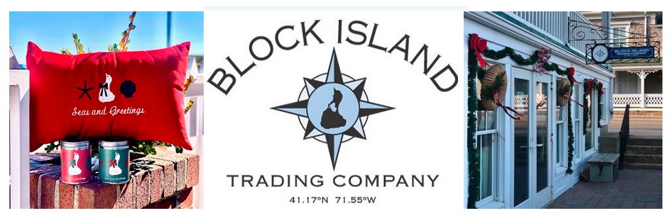 BI Trading Company banner