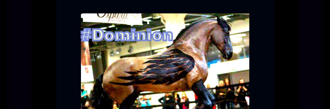 IcebornValkyrie's profile banner image