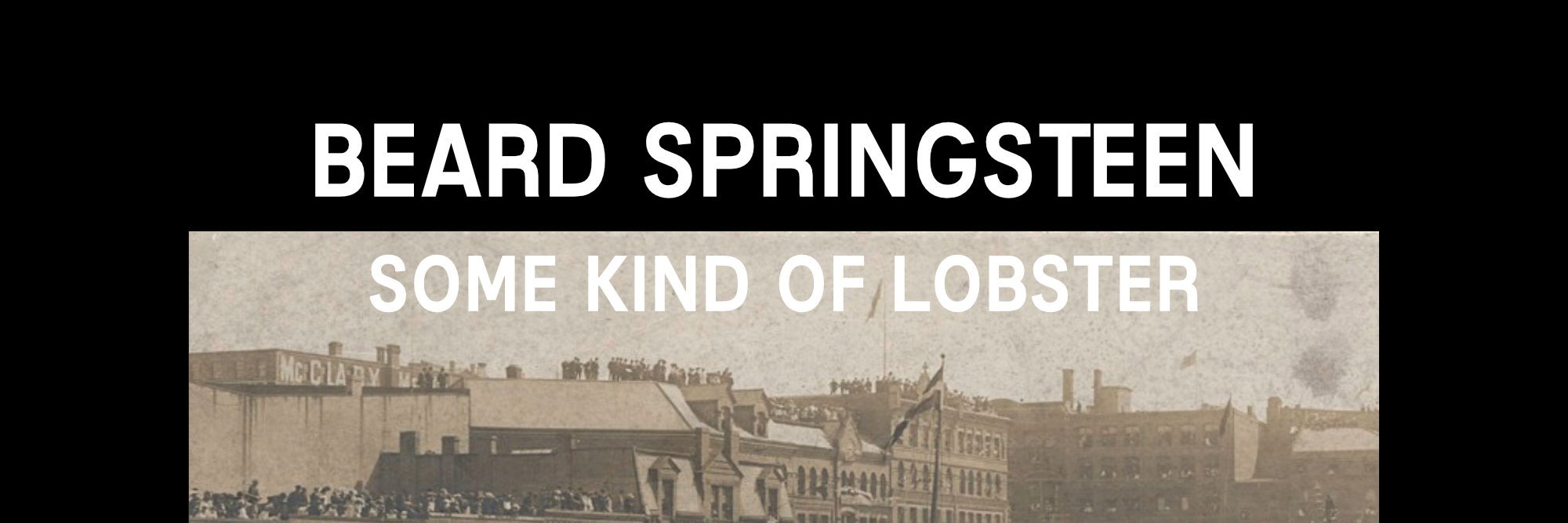 Beard Springsteen banner