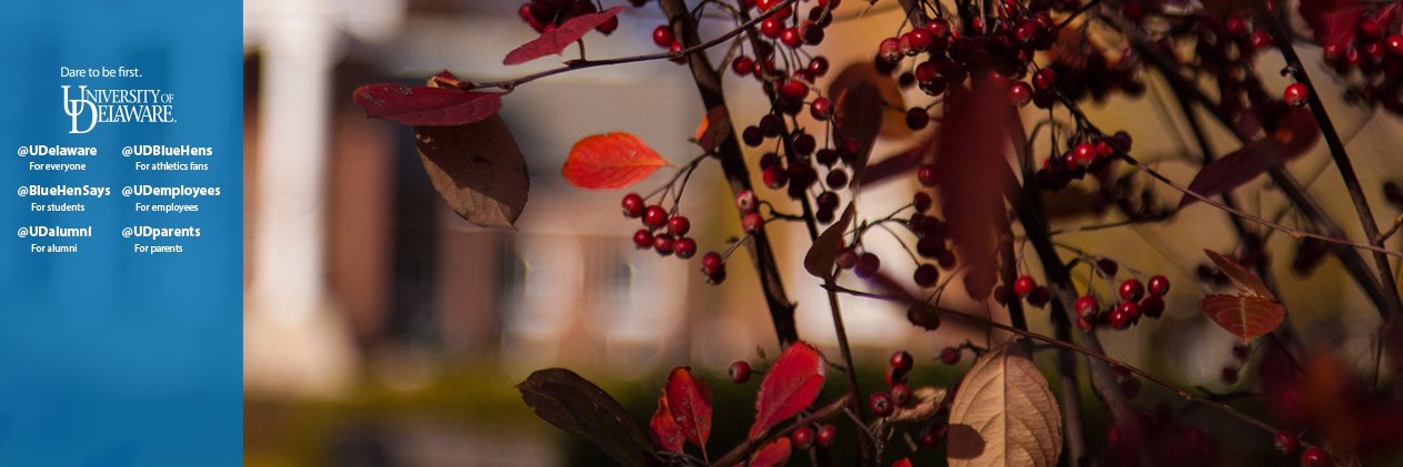 BlueHenKatie's profile banner image