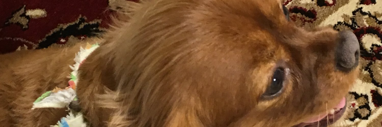 osie_v's profile banner image