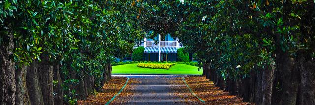 pgatour_driven's profile banner image