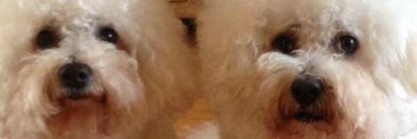 __nataliee Profile Banner