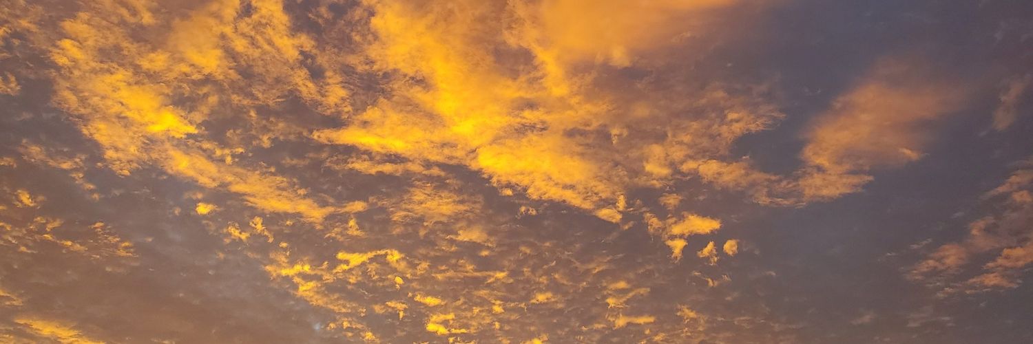 ericparlatore's profile banner image