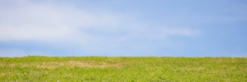 noj9o's profile banner image