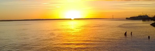 MancMal Profile Banner