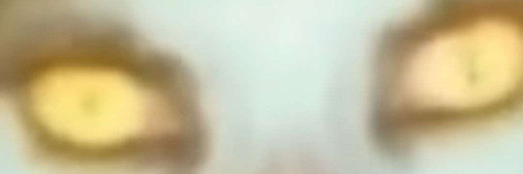claradncn's profile banner image