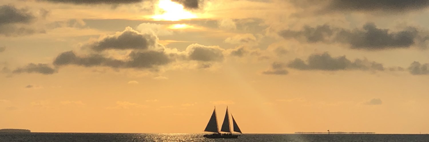 RGrandovic's profile banner image