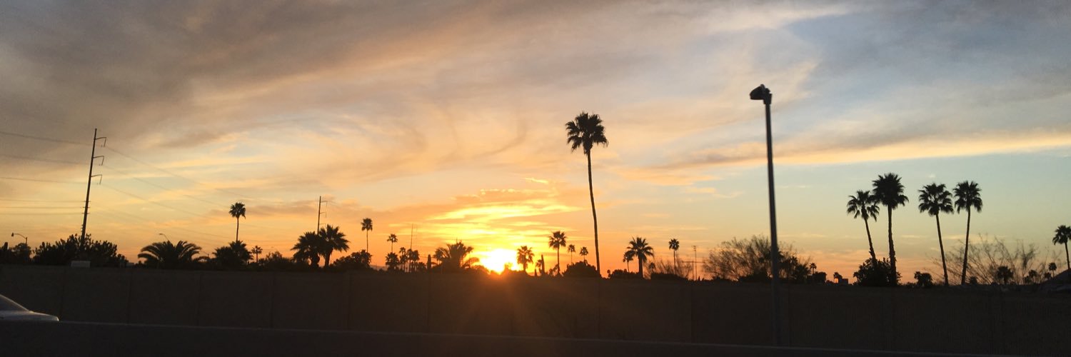 laurenashmann's profile banner image