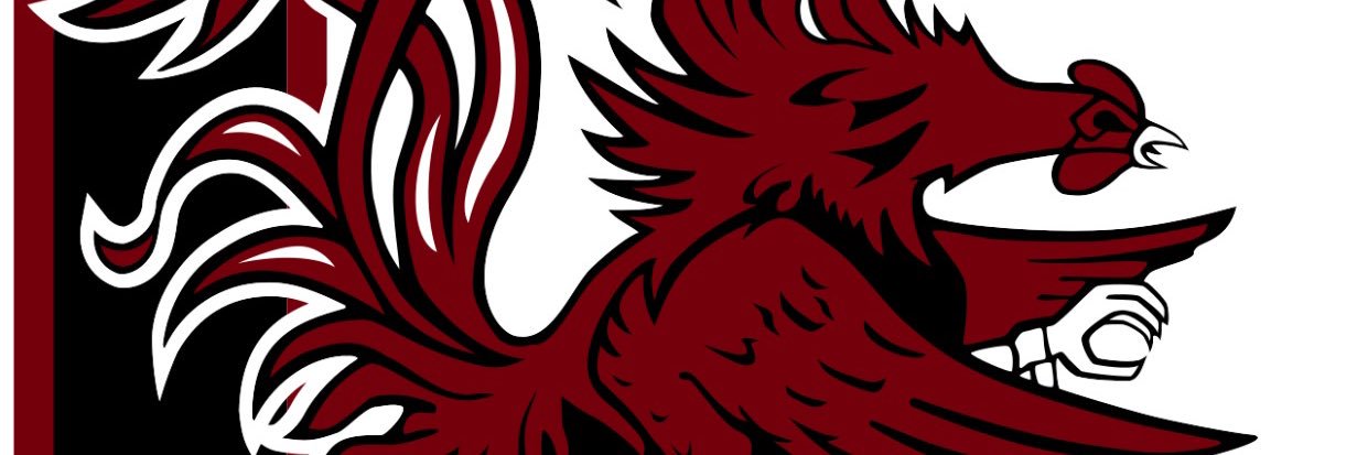 Shirley Perez banner