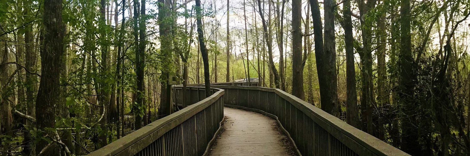 Katrina Scales banner