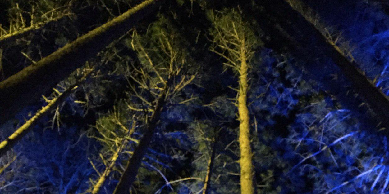brianfarrell22's profile banner image