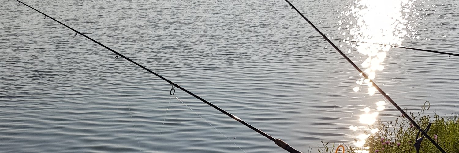 sandifrka's profile banner image