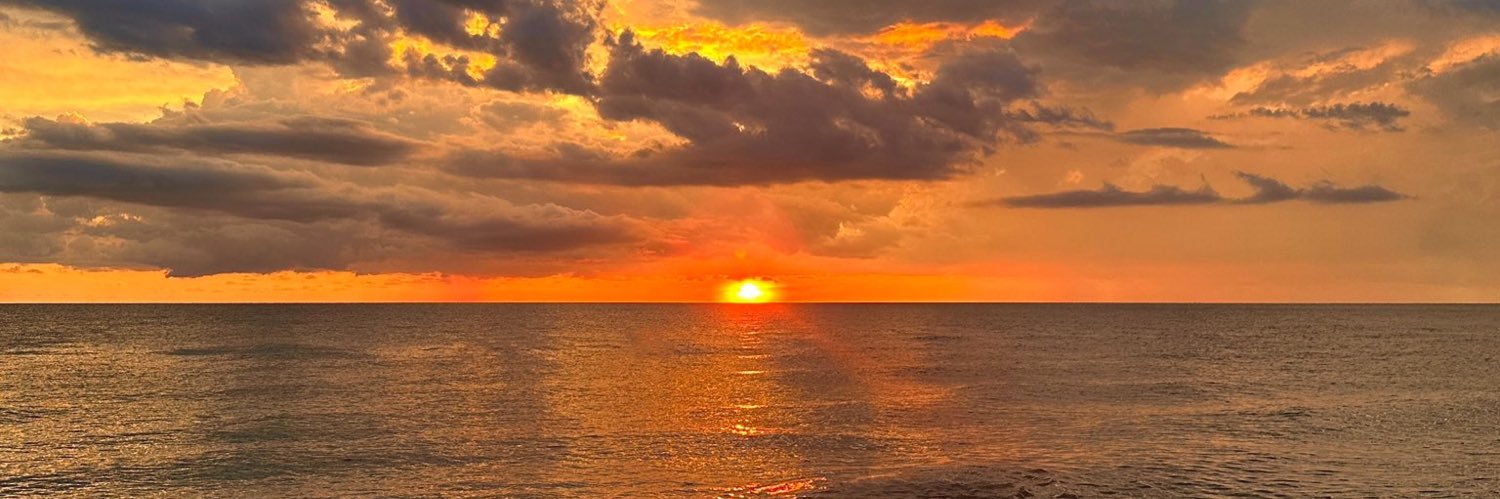 delidells's profile banner image