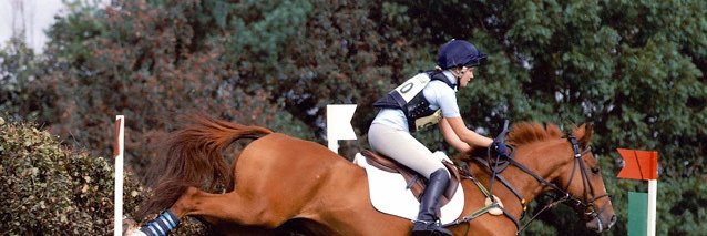 Eleanore Kelly banner