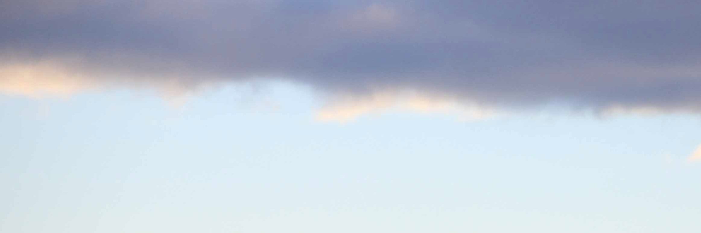 marion_bergin's profile banner image