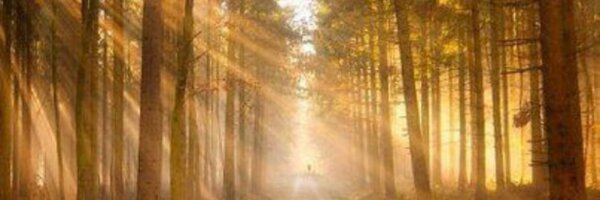 UrForgiven2 Profile Banner