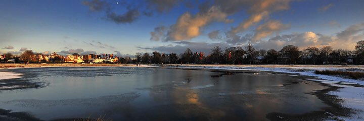 Robert Holmes & Co banner