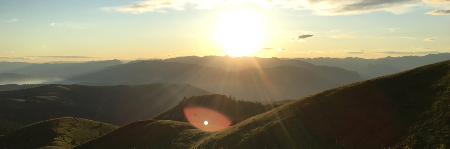 Amedeo Andriollo banner