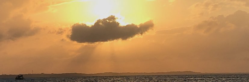 riggs banner