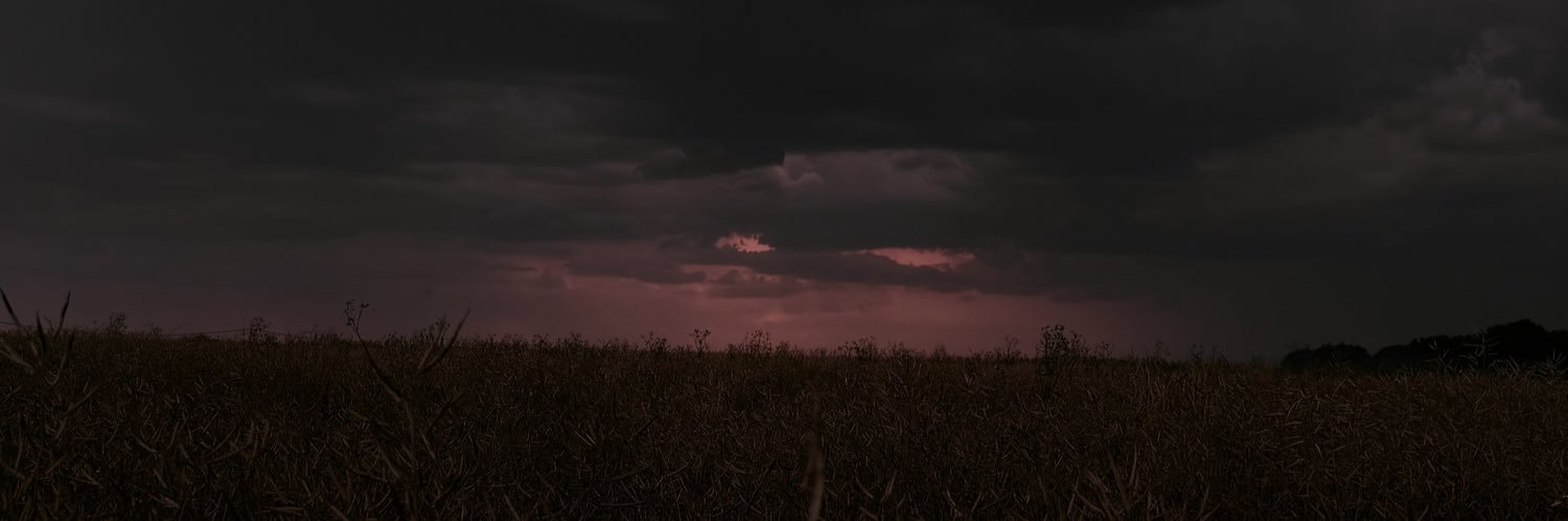 alizeejfr's profile banner image