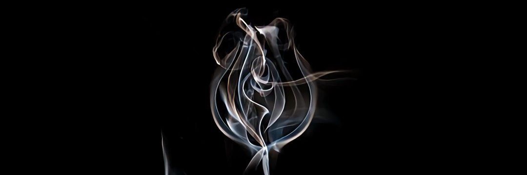 winnieinpages's profile banner image