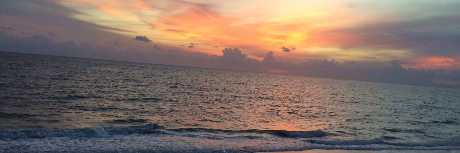 AMDeLuccia's profile banner image