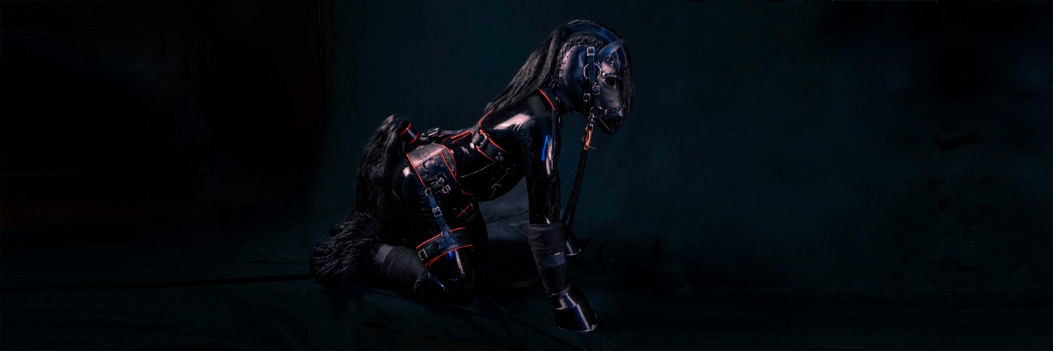 Cyb Gallup 🇨🇦 banner