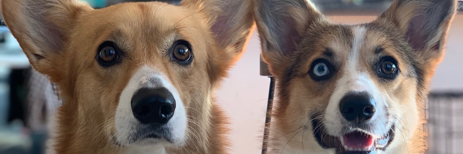evansp12's profile banner image