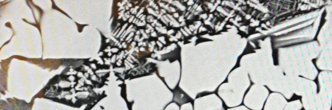 Lisa Krämer Ruggiu banner