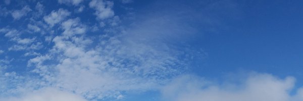 bcsilverthorn Profile Banner