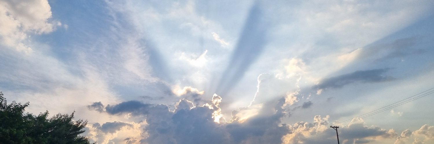 Nova Constituição banner