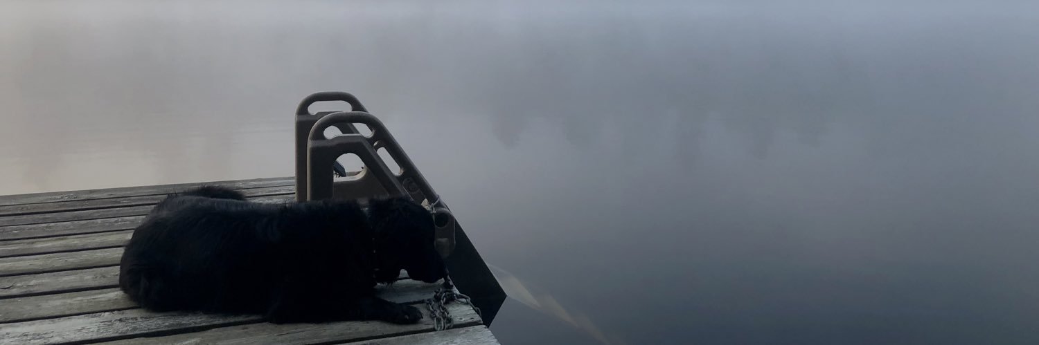 Rose_Ca's profile banner image