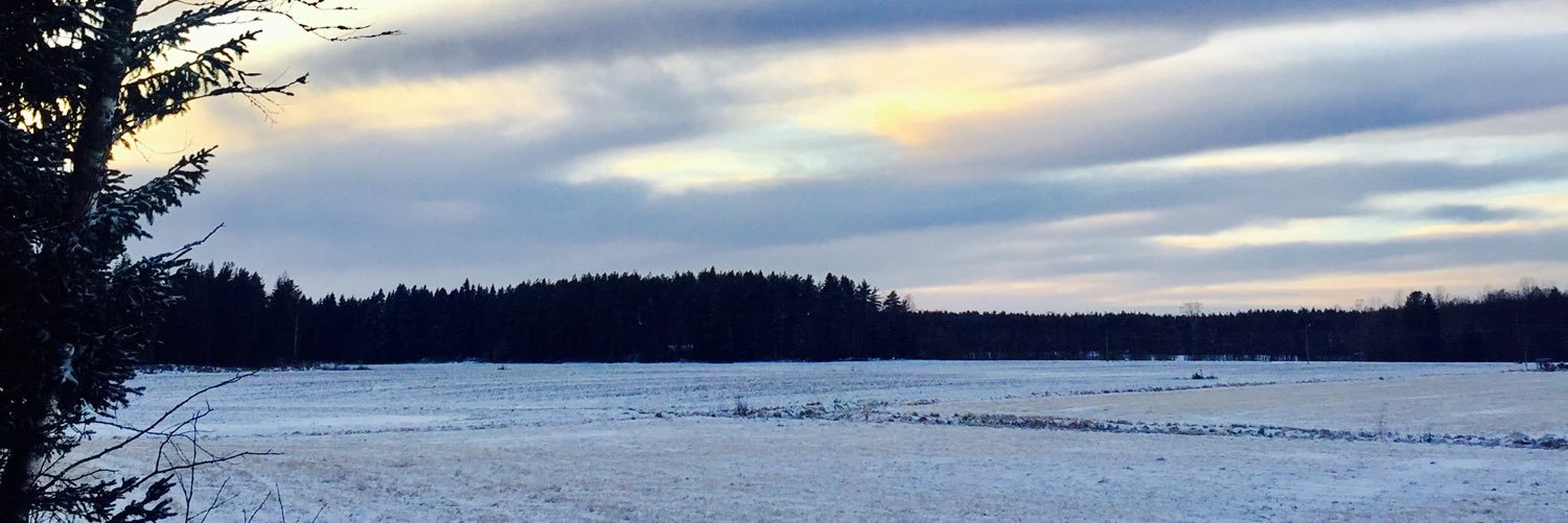 LadyH79's profile banner image