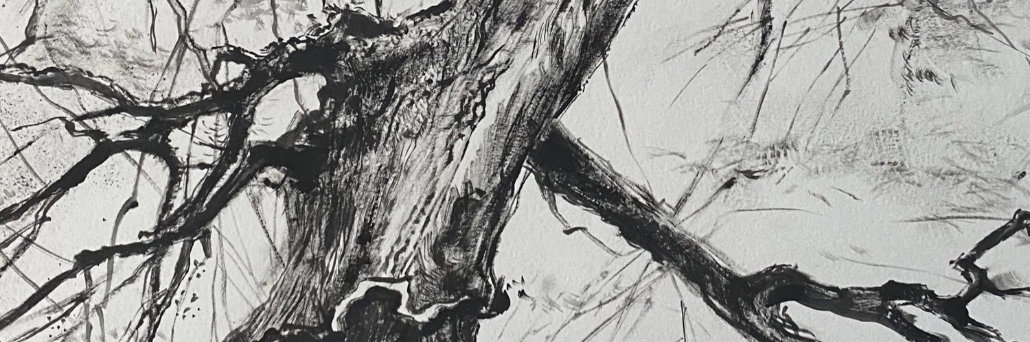 mayer_daria's profile banner image