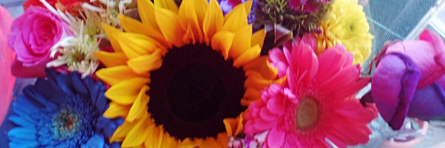 LinniMerlos's profile banner image