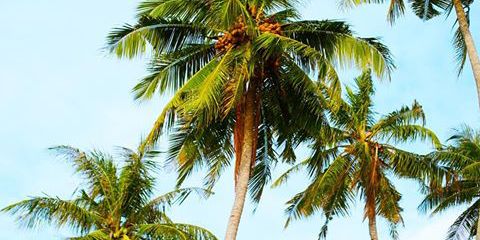 feitosadasilva2's profile banner image